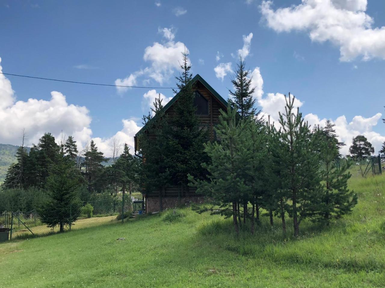 ŽabljakKuca U Borju - House In Pines公寓 外观 照片
