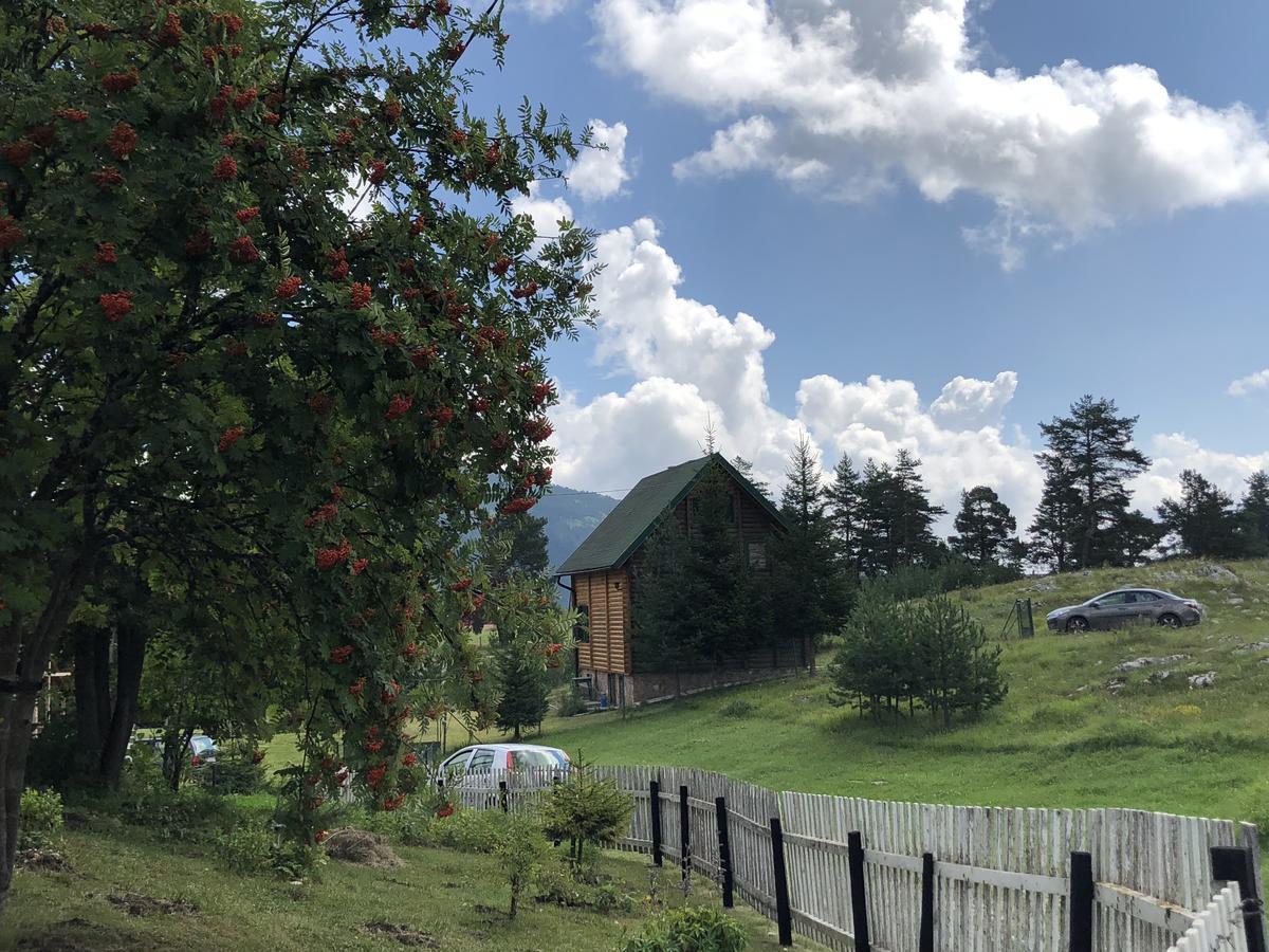 ŽabljakKuca U Borju - House In Pines公寓 外观 照片