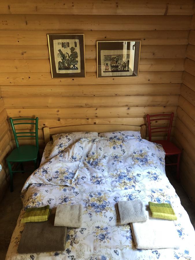ŽabljakKuca U Borju - House In Pines公寓 外观 照片